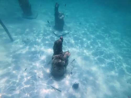 Fishing + Snorkeling