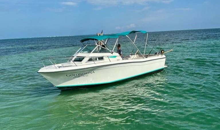 listing card gallery